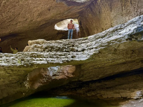 Родное гнездо