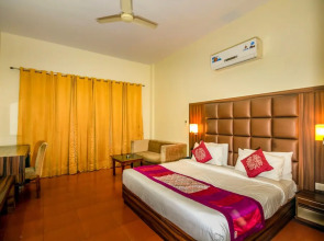 Little Mastiff - Dharamshala