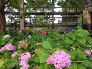 Van der Valk Hotel Leiden