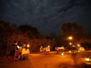 Big Game Yala by Eco Team