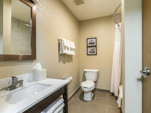 Comfort Inn Detroit Downtown