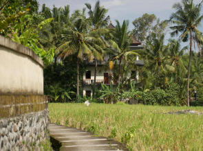 Eden House Ubud