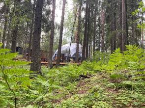 Вили Улей Карелия