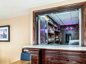 Comfort Inn Detroit Downtown