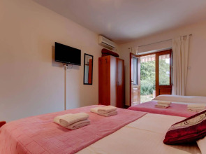 Studio Apartments Petkovic