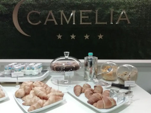 Hotel Camelia