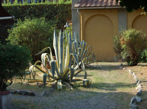 B&B Antica Piazza dei Miracoli
