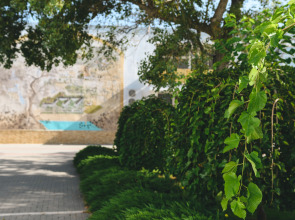 Полтава-Крым