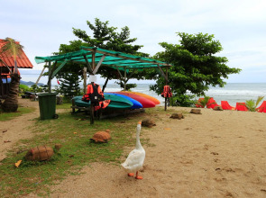 White Sand Beach Resort