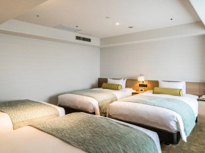 Отель Sunshine City Prince