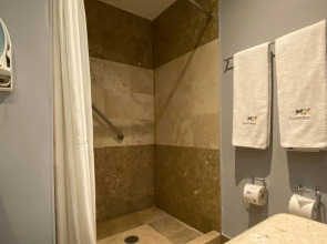 Отель MX Forum Buenavista