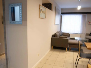 Renovated Apartment in Antwerp