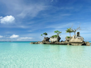 The Ferra Premier by JG