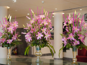 Radisson Blu Marina Hotel Connaught Place