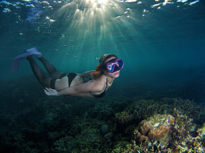 Turtle Bay Dive Resort