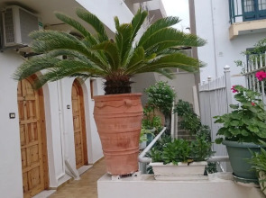 Lovely Holidays Hotel