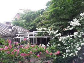 Jiwoljang Guest House