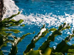 Apartamentos Pirámides