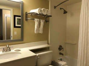 Palm Tree Club Miami Hotel