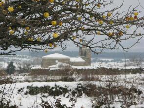 Rusticae Hostería Camino