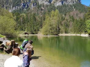 Hotel Rheinischer Hof