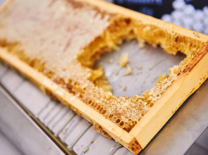 MAXX by Steigenberger Hotel Vienna