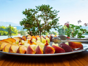 Dolphin Resort Hotel & Conference