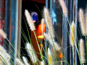 Peking International Youth Hostel