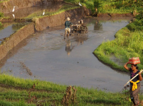 Samanvaya - Adults Only