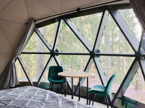 Forest Lake (Форест Лэйк)