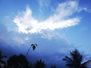 Hotel Elephant Lobby