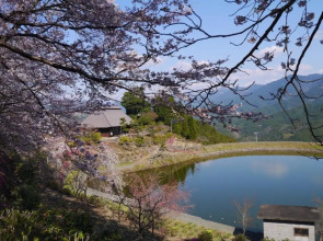 The hostel & Tatami bar UCHIKOBARE