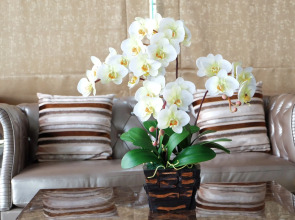 Methavalai Residence