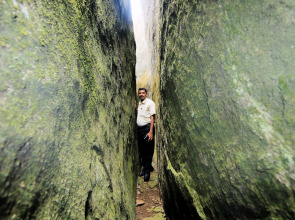 Punarjani Ayurvedic Resorts