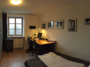 Natur pur in den Amperauen