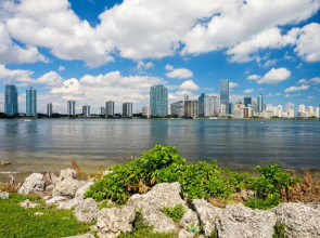 Casa Victoria Orchid