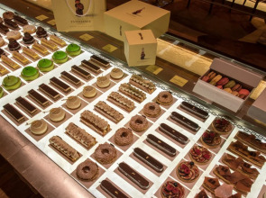 Brach Paris - Evok Collection