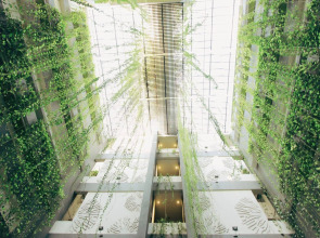 Grandmas Plus Hotel Legian