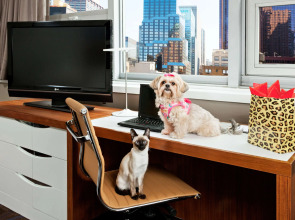 Отель DoubleTree by Hilton Metropolitan - New York City