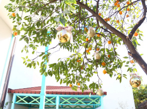 Delight Deluxe Aparts