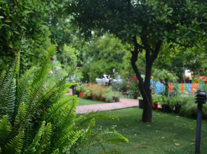 Caretta Caretta Pension