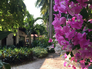 Diamond Bay Resort and Spa