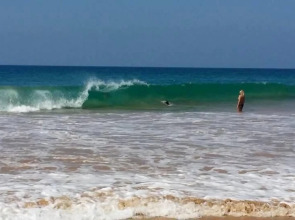 Time N Tide Beach Resort