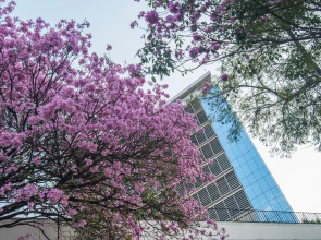 Hotel Guarani Asuncion