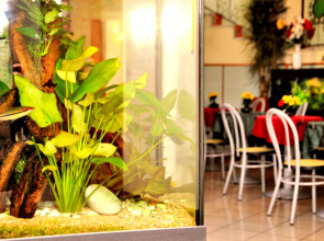 Hotel San Siro Fiera