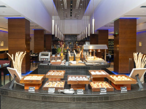 Radisson Blu Plaza Delhi Airport