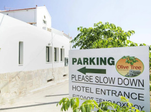 Olive Tree Apartments