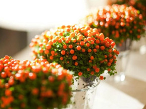 Отель Eiffel Turenne