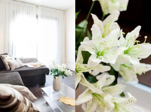 Aspasios Catedral Apartments