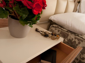 The Evitel Resort Ubud